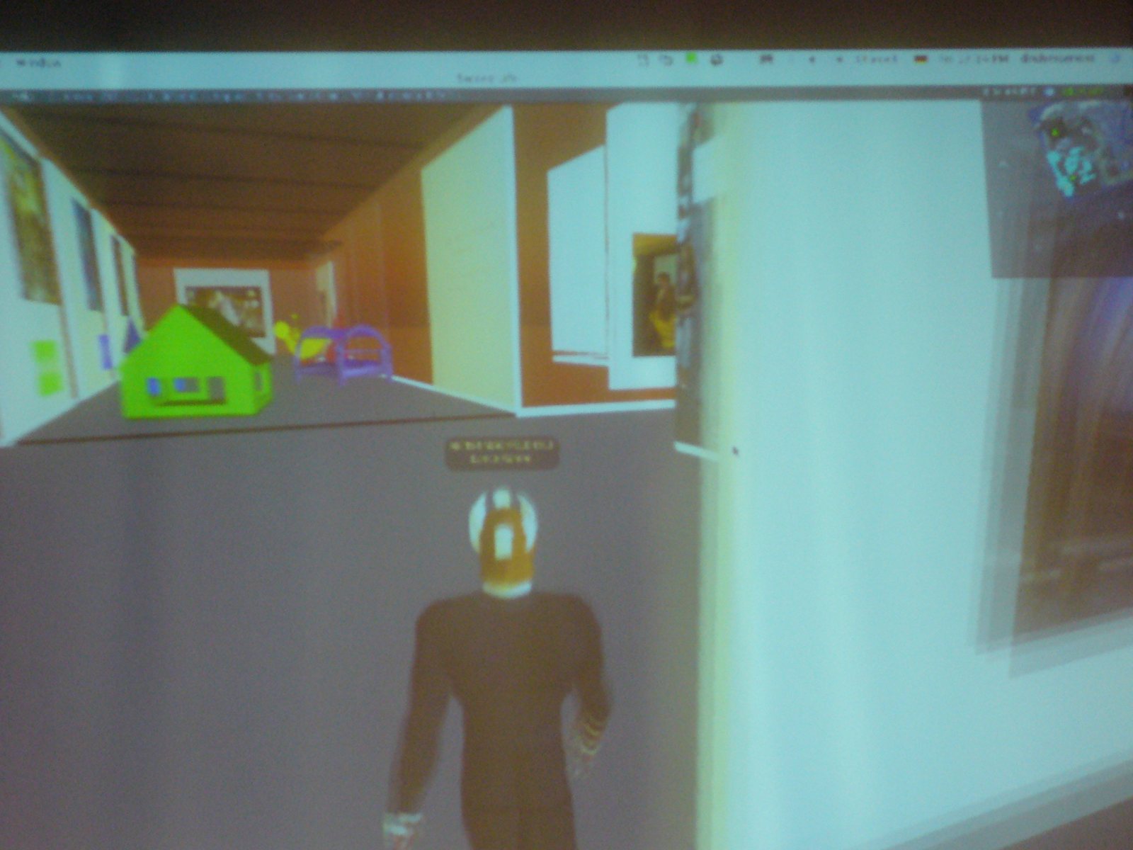 Close view of the Second Life projection — the gallery in-world